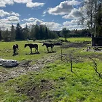 팜스테이 Elaemyksellinen Farmilla Kalvia