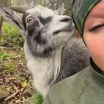 Elaemyksellinen Farmilla Kalvia