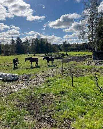 Κατάλυμα σε φάρμα Elaemyksellinen Majoitus Farmilla Kalvia