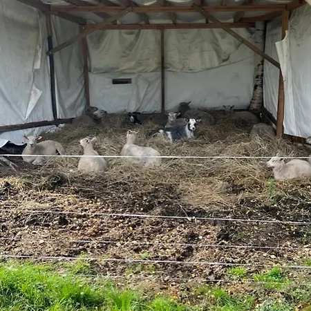 Elaemyksellinen Majoitus Farmilla * Kalvia