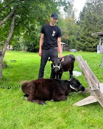 Elaemyksellinen Majoitus Farmilla Kalvia
