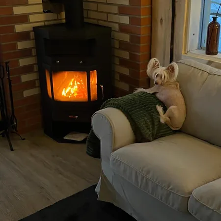 Elaemyksellinen Farmilla Agroturismo Kalvia