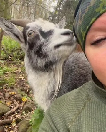 Elaemyksellinen Majoitus Farmilla Kalvia