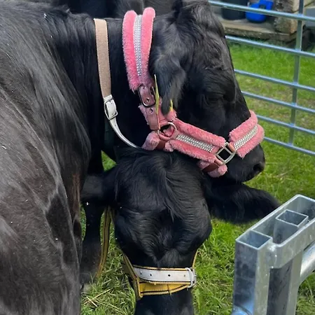 Elaemyksellinen Farmilla