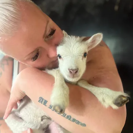 Agroturismo Elaemyksellinen Farmilla Kalvia