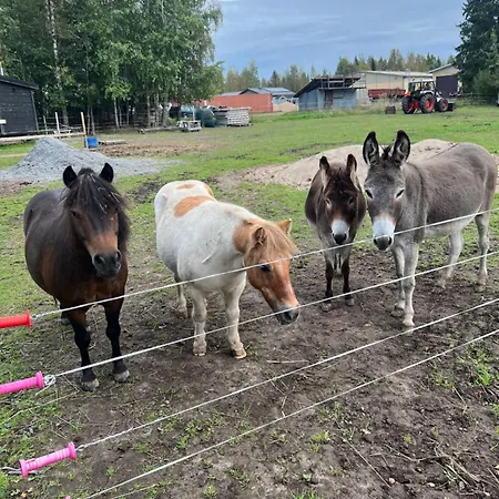 Elaemyksellinen Farmilla Фермерский дом