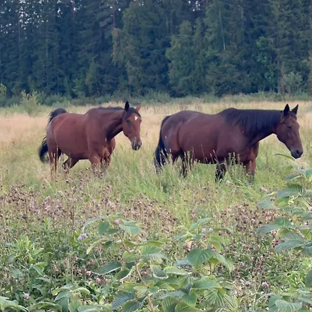 Agroturismo Elaemyksellinen Farmilla